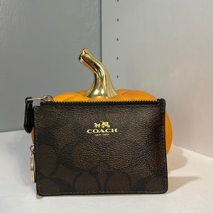 Coach Mini Skinny Id Case In Colorblock Signature Canvas